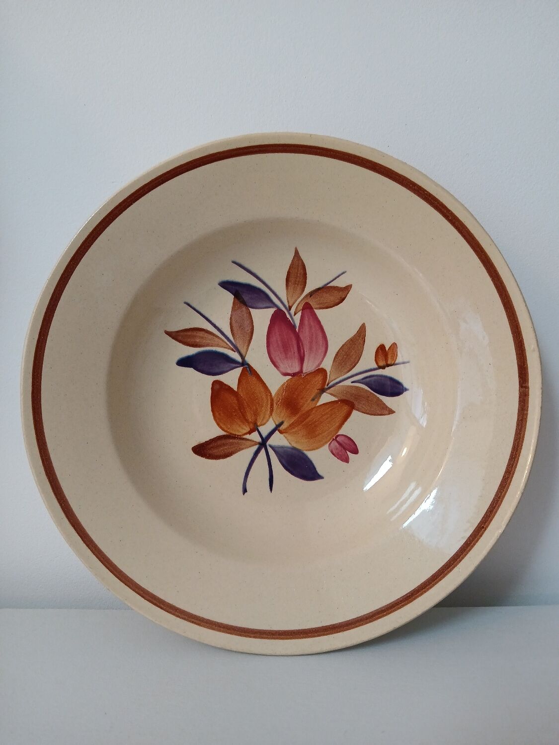Lot de 12 assiettes creuses vintage motif bordeaux caramel