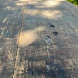 Table pliante ancienne en bois