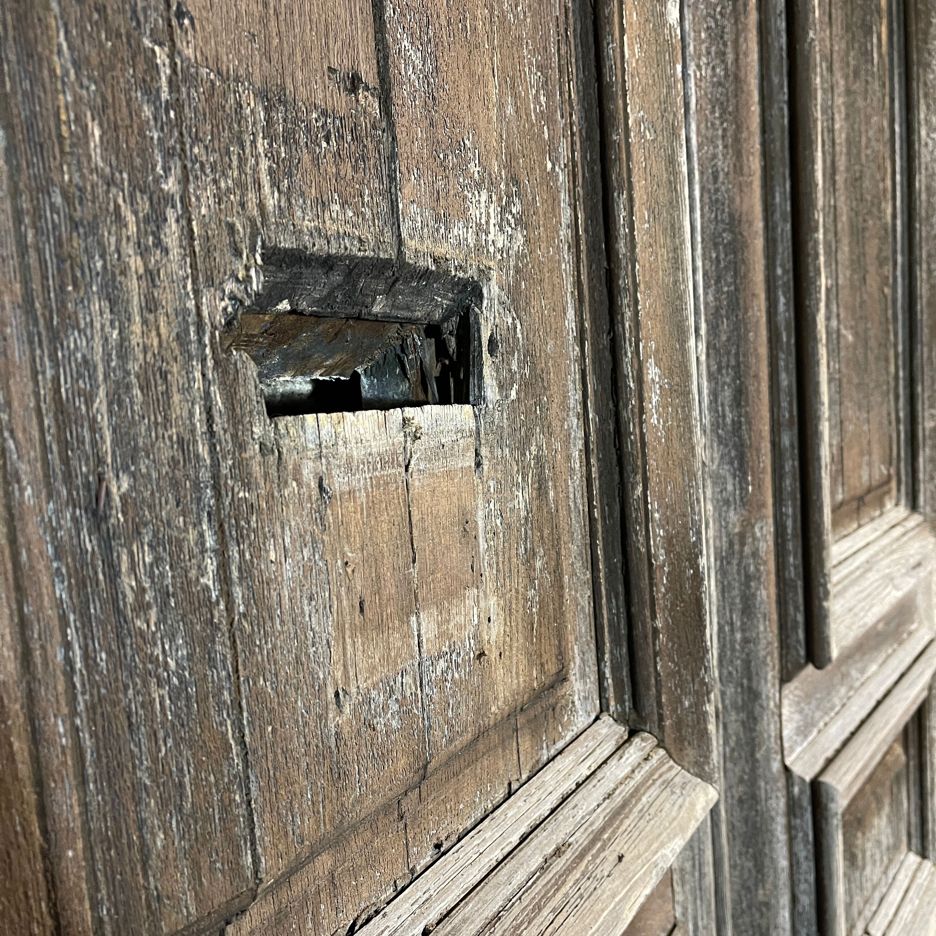 Double old oak door