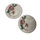 Floral deep plates hbcm