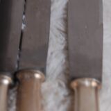 Ercuis cutlery set with knives