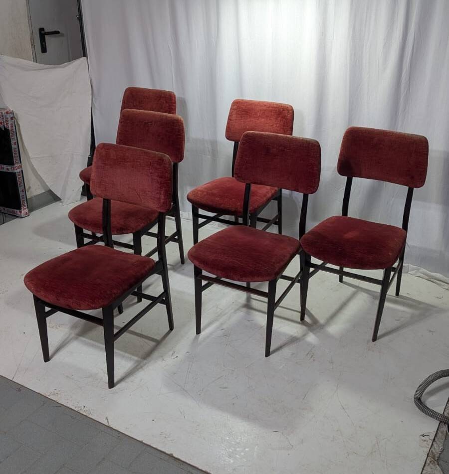 Set of 6 chairs by Vittorio Dassi, 1950s