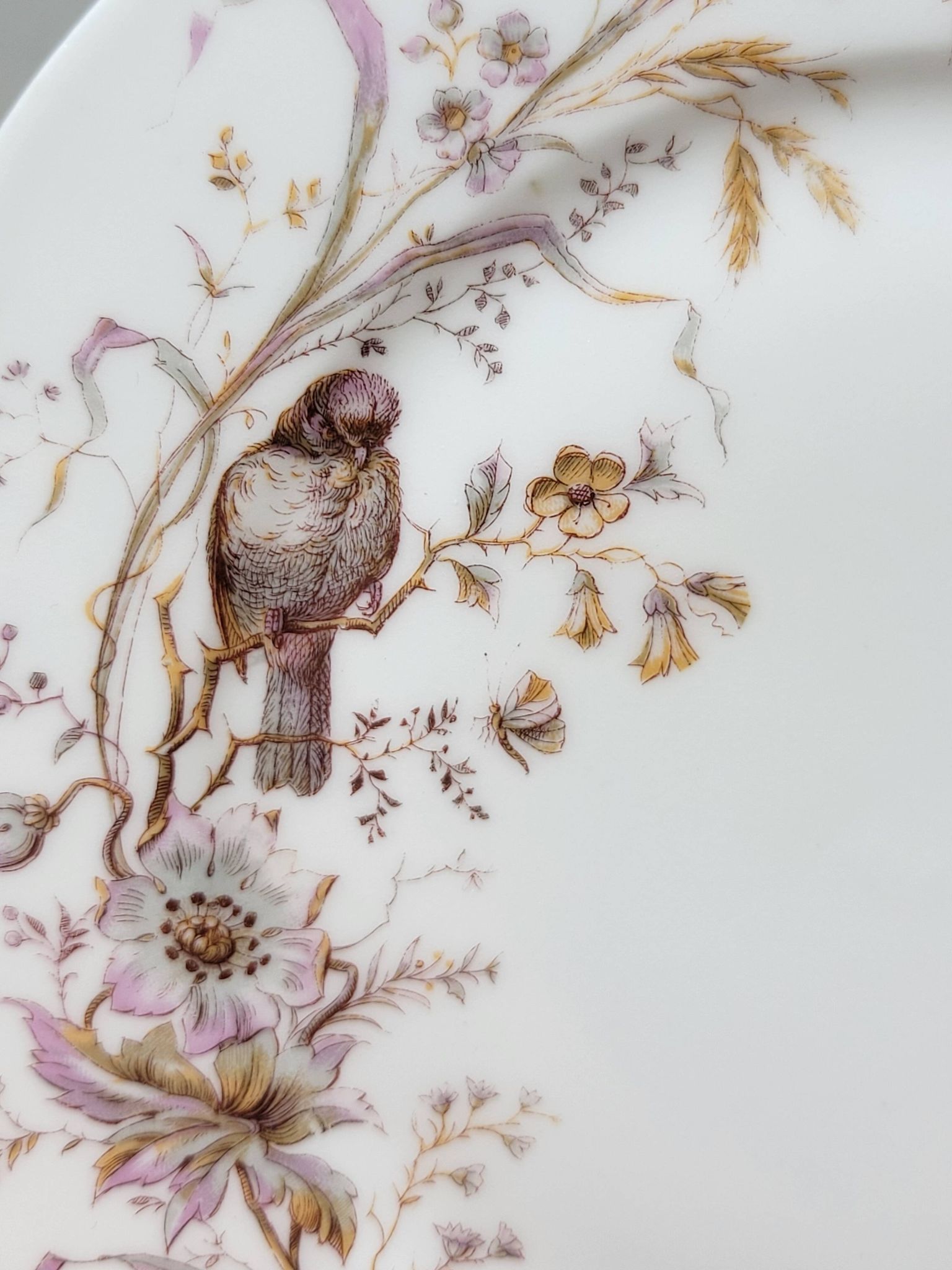 8 Superbes Assiettes Anciennes XIXème Décor Aux Oiseaux Sur Des Branches