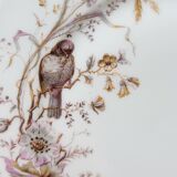 8 Superb Antique 19th Century Plates Decorated with Birds on Branches