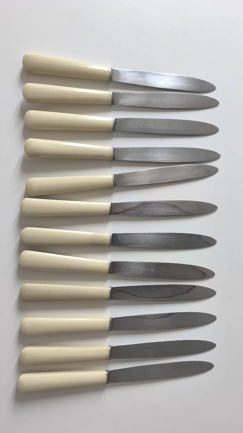 Set of 12 stainless steel and bakelite knives