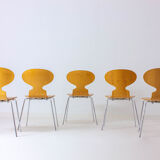 Special set of 5 Ant chairs by Fritz Hansen