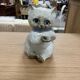 Japan cat teapot