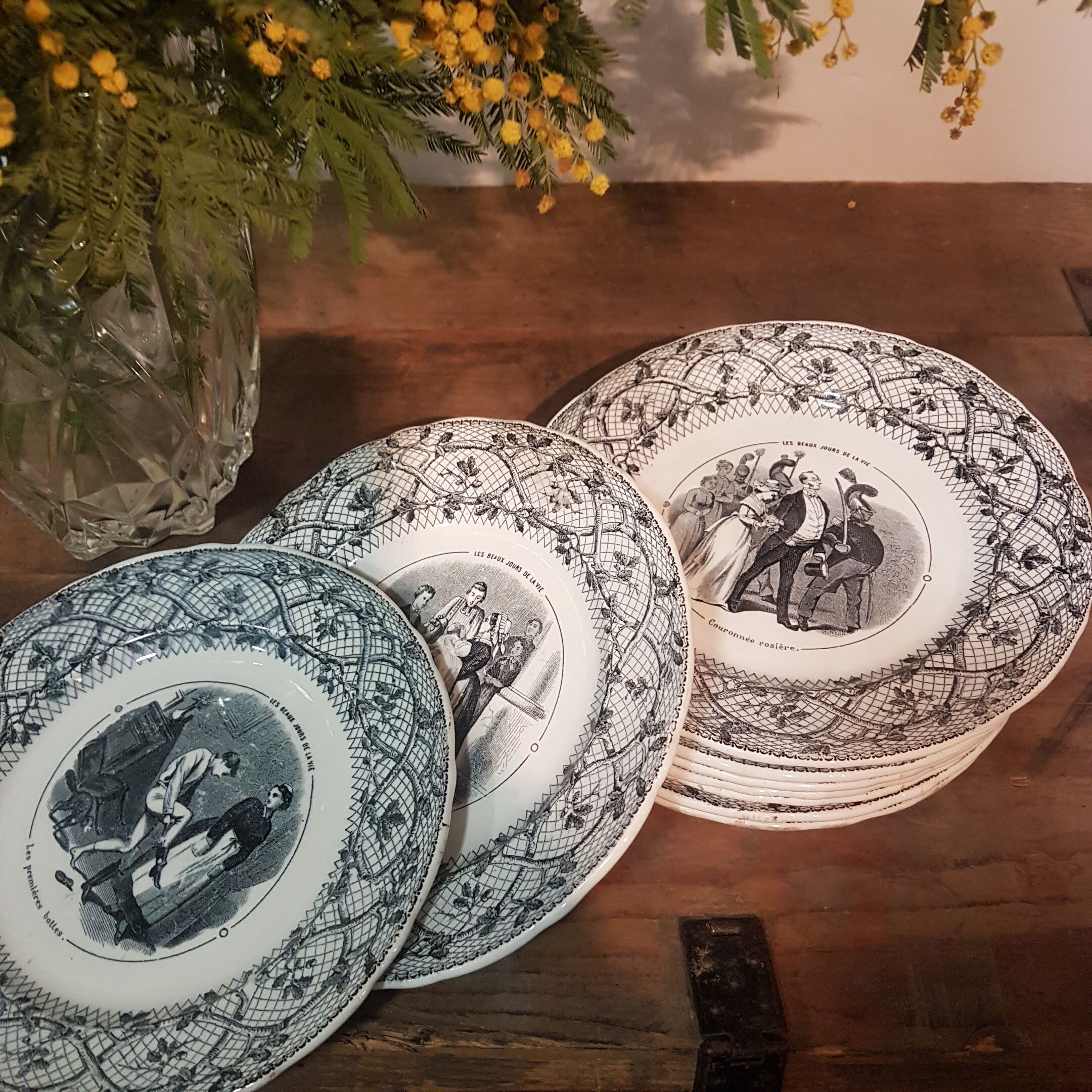 J. Old People's Plates