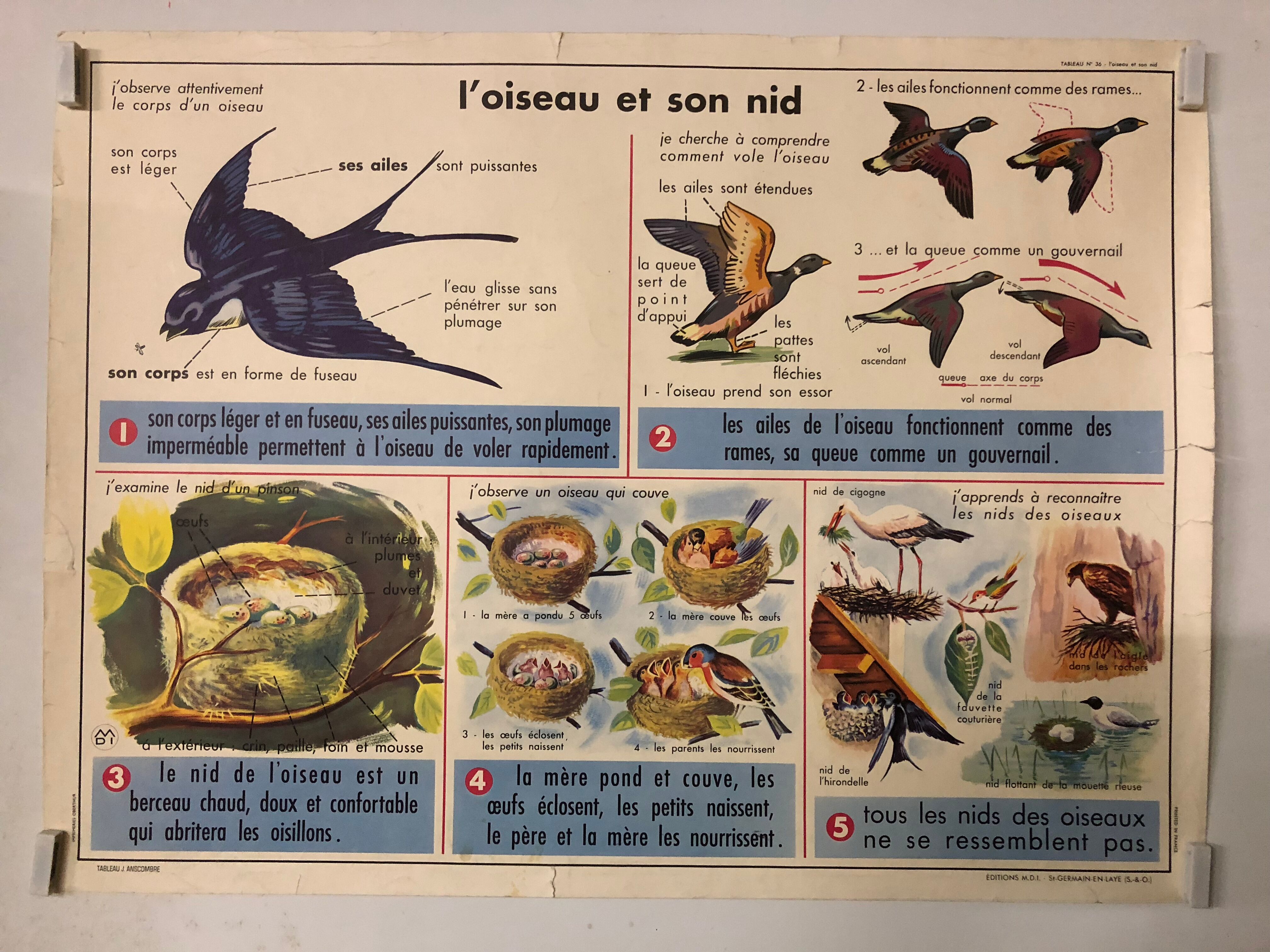 School vintage poster the primrose and the bird and its nest