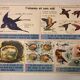 School vintage poster the primrose and the bird and its nest