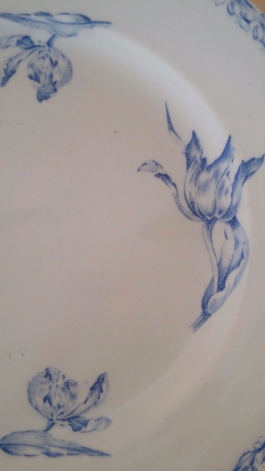 Plate faience luneville kg blue tulips