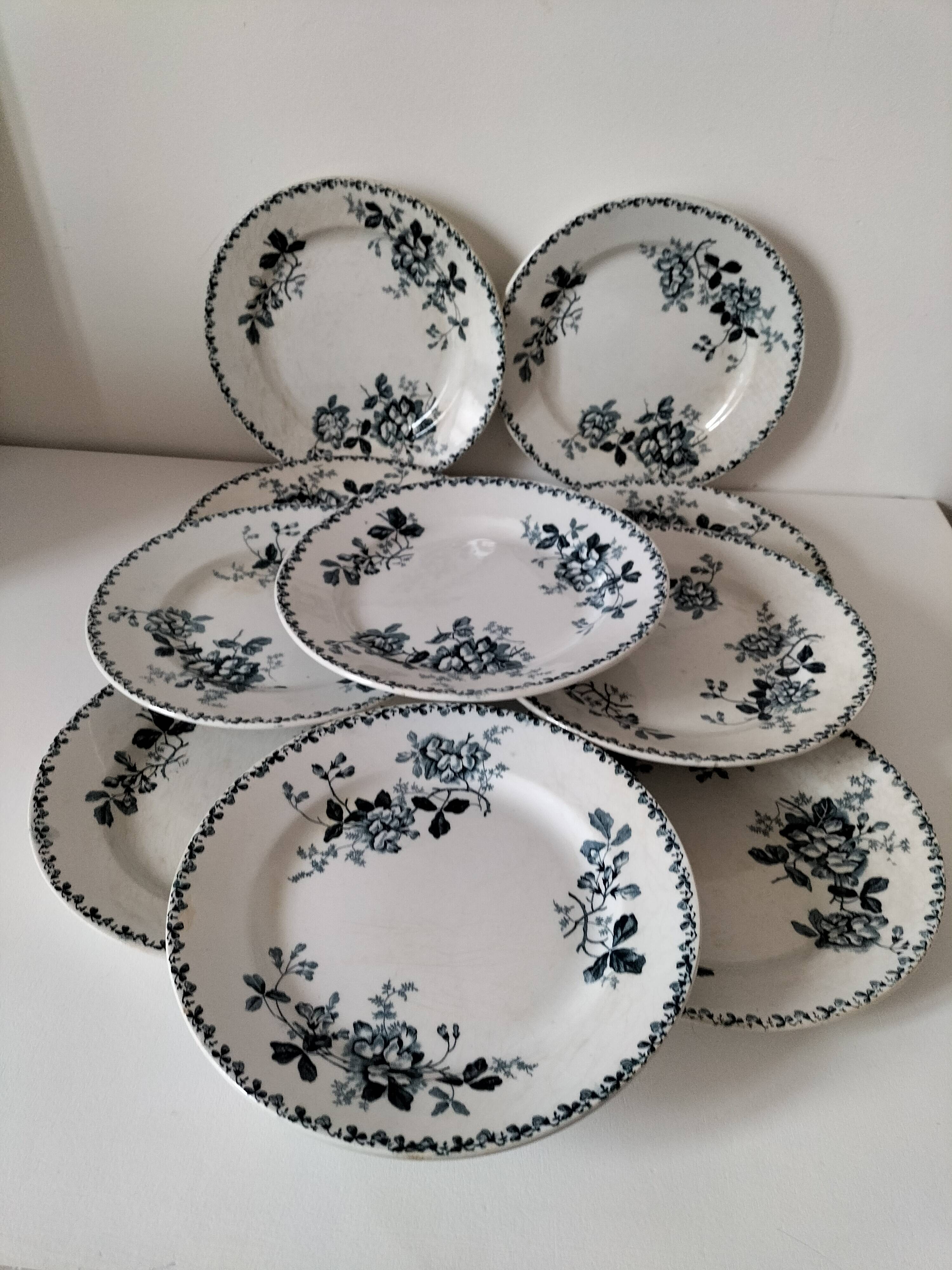 Set of 10 ironstone plates Moulin des Loups Acacia