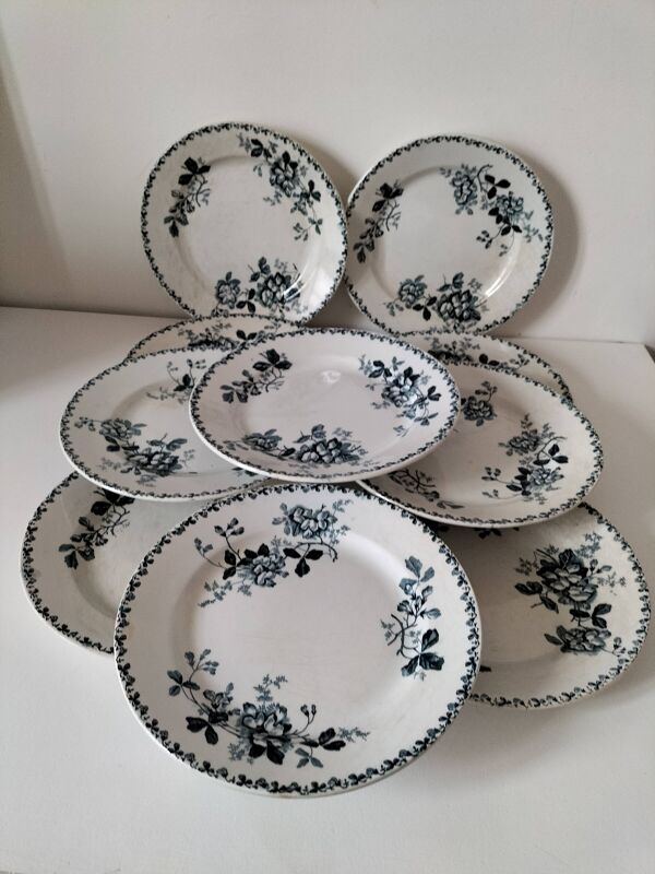 Ensemble 10 assiettes terre de fer Moulin des Loups Acacia