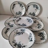 Set of 10 ironstone plates Moulin des Loups Acacia