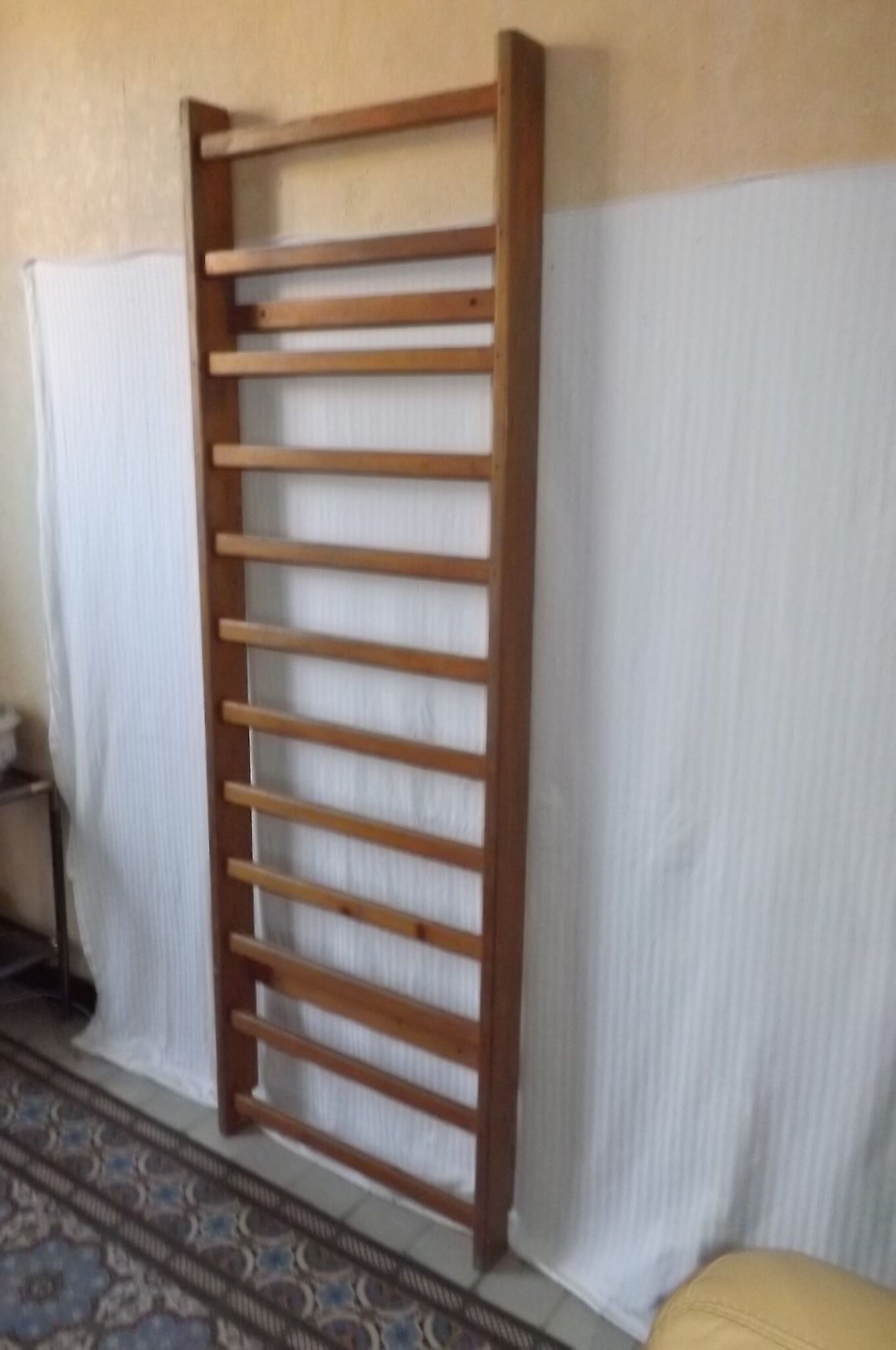 Vintage school gymnastics espalier