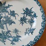 Six plates in Iron Earth