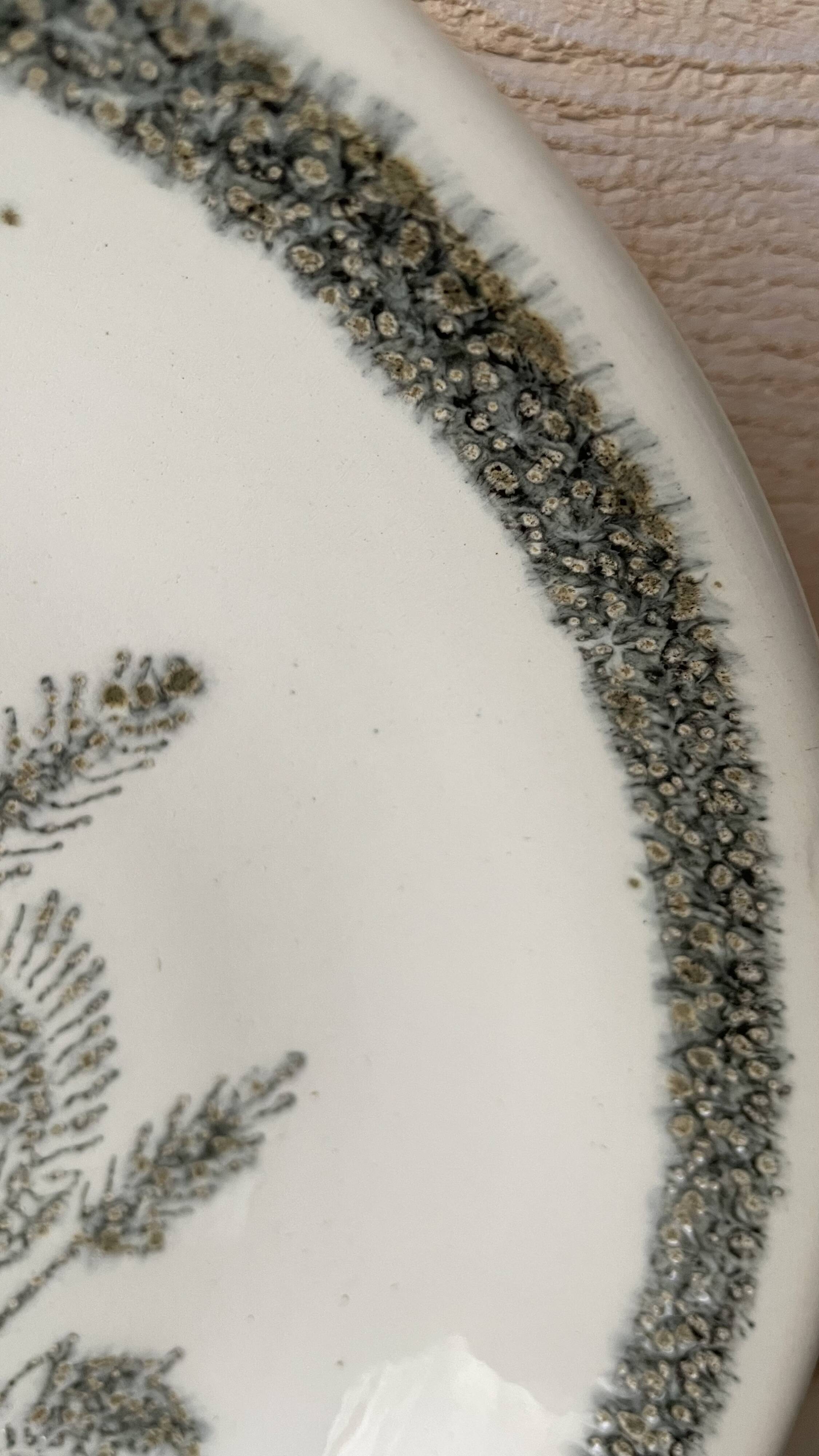 Set of 6 soup plates with thistles