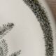 Lot of 6 deep plates with thistles