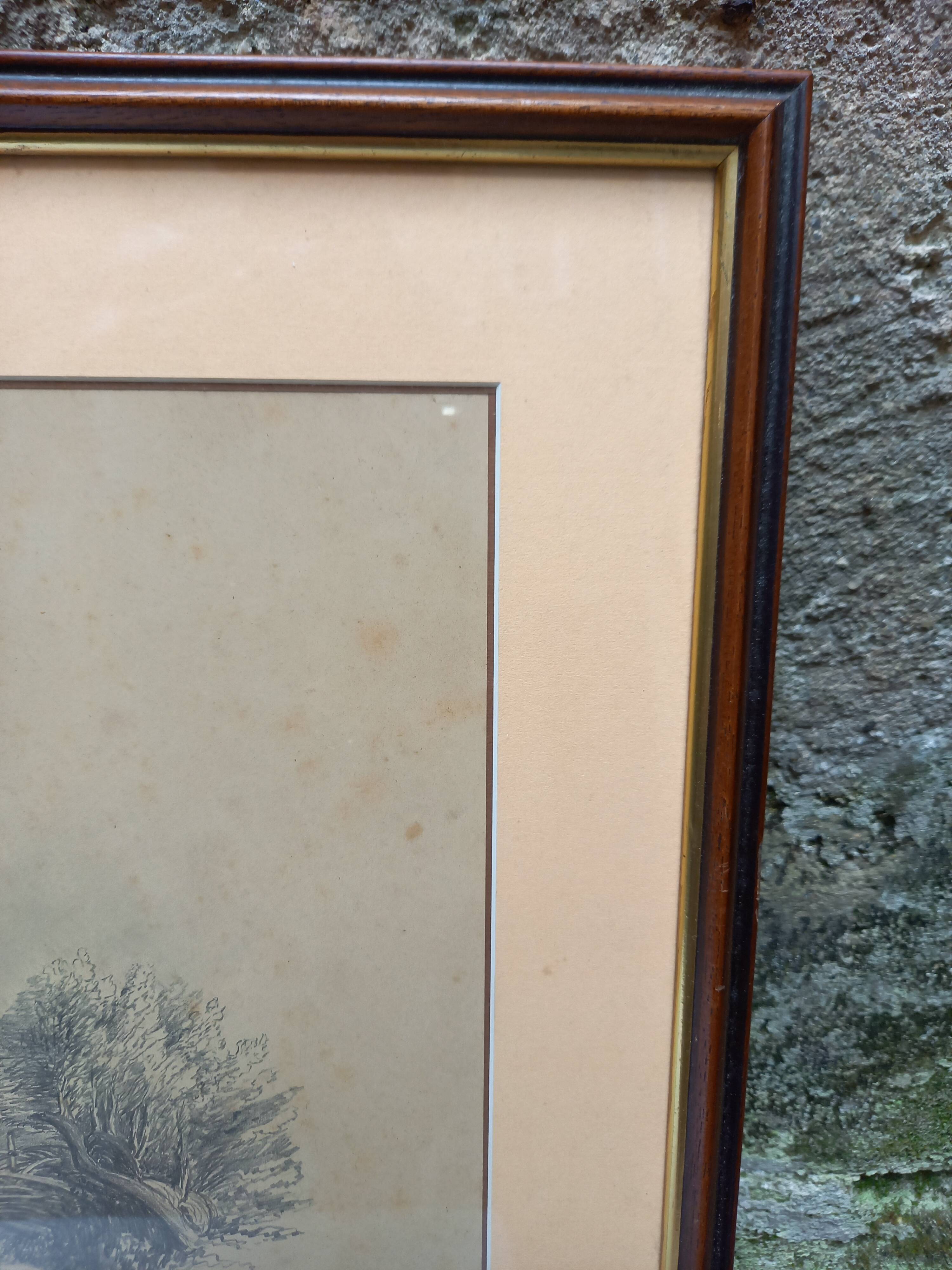 Old pencil drawing, thatched cottage in a grove, late 19th century