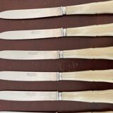 Set of 12 vintage knives and case