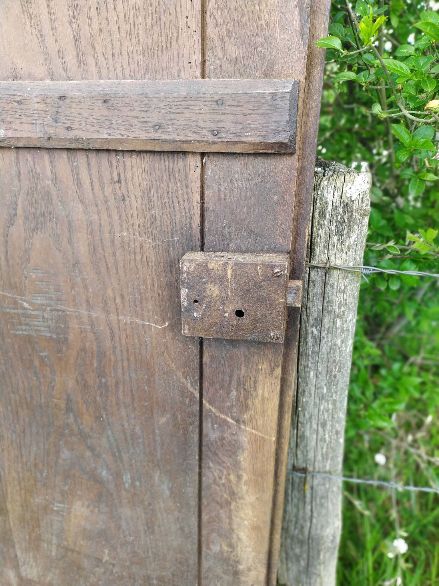 Portes d'armoire en chêne
