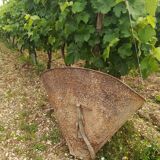 Ancienne hotte à vendanges