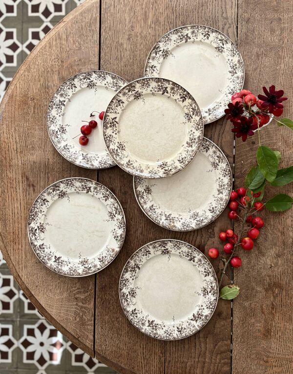 Lot de 6 assiettes plates anciennes en terre de fer modèle Alphand