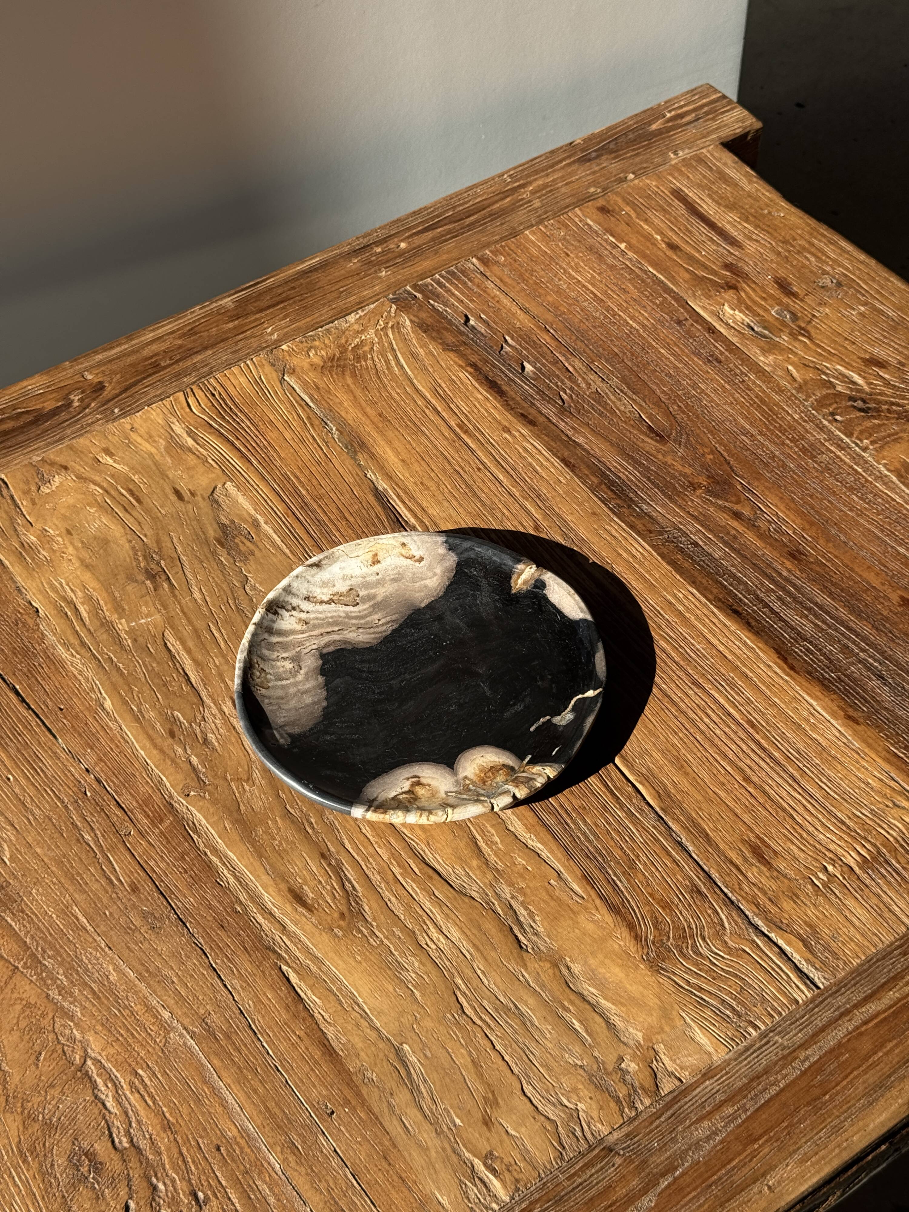 Small pocket tray or dish in black and beige petrified wood D20.5 -3317