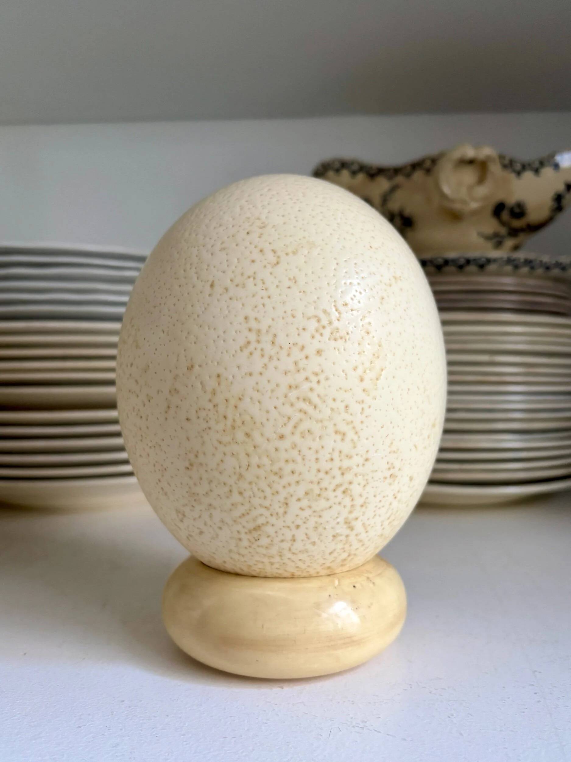 Ostrich Egg on Base No. 3