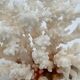 Old white natural coral - 1970s