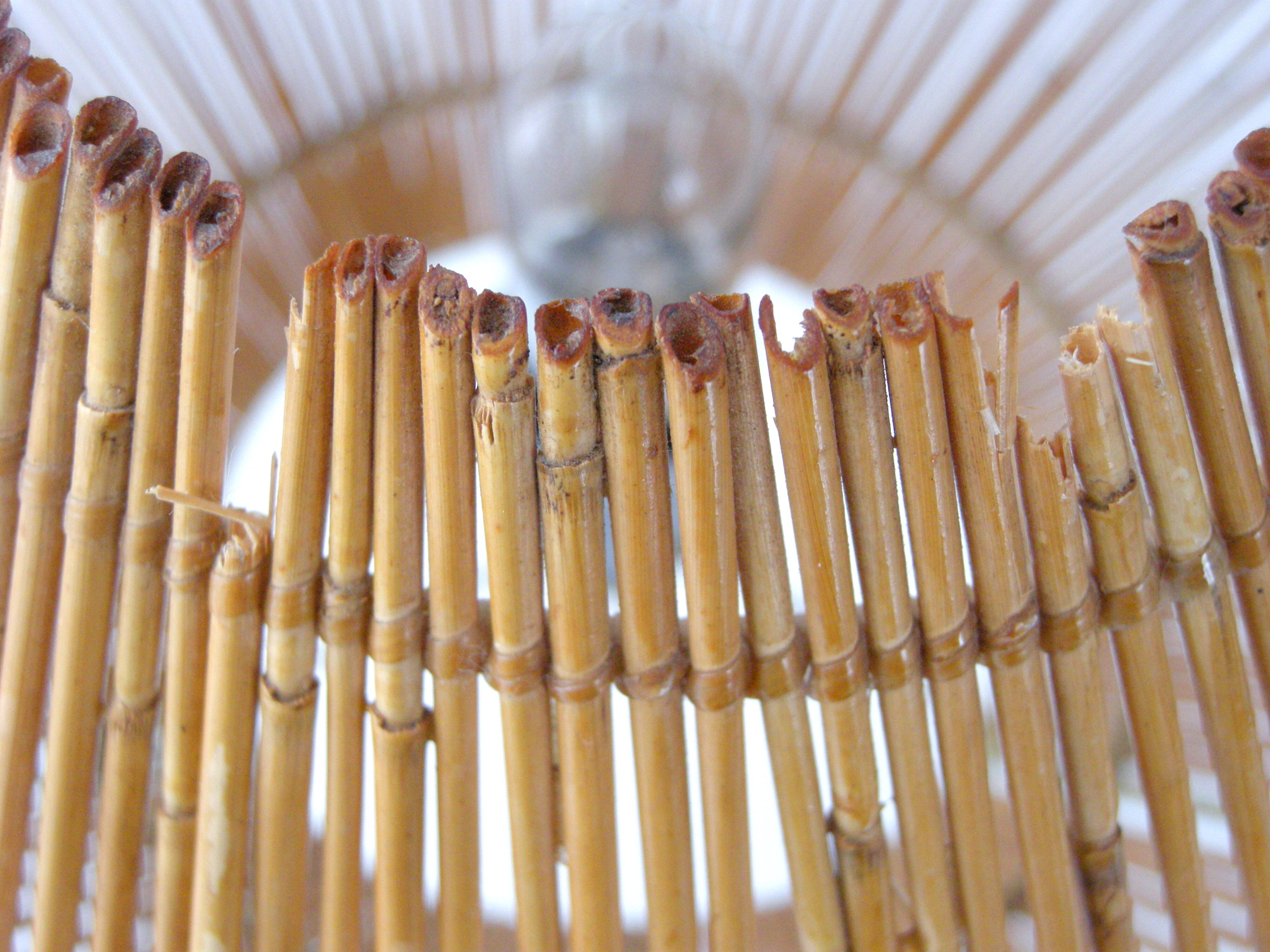 Three-year rattan lamp 1950 vintage