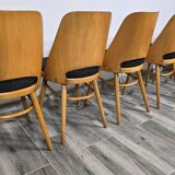 Dining Chairs by Radomir Hoffman for Ton, 1950s, Set of 8