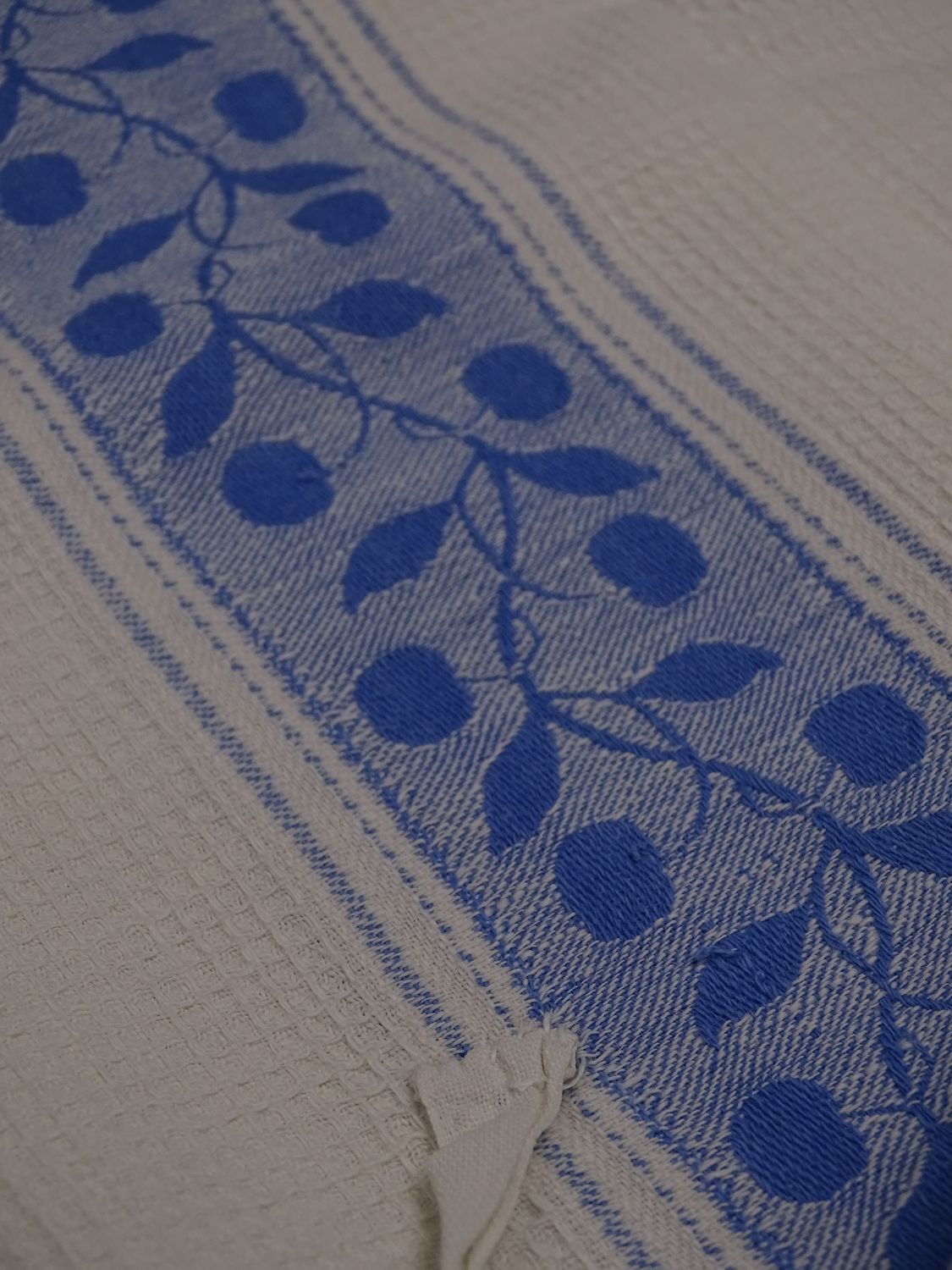 Lot of 2 old and cotton tea towels - Pretty blue friezes - Franges - Circa 1920-1930