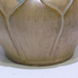 Pitcher