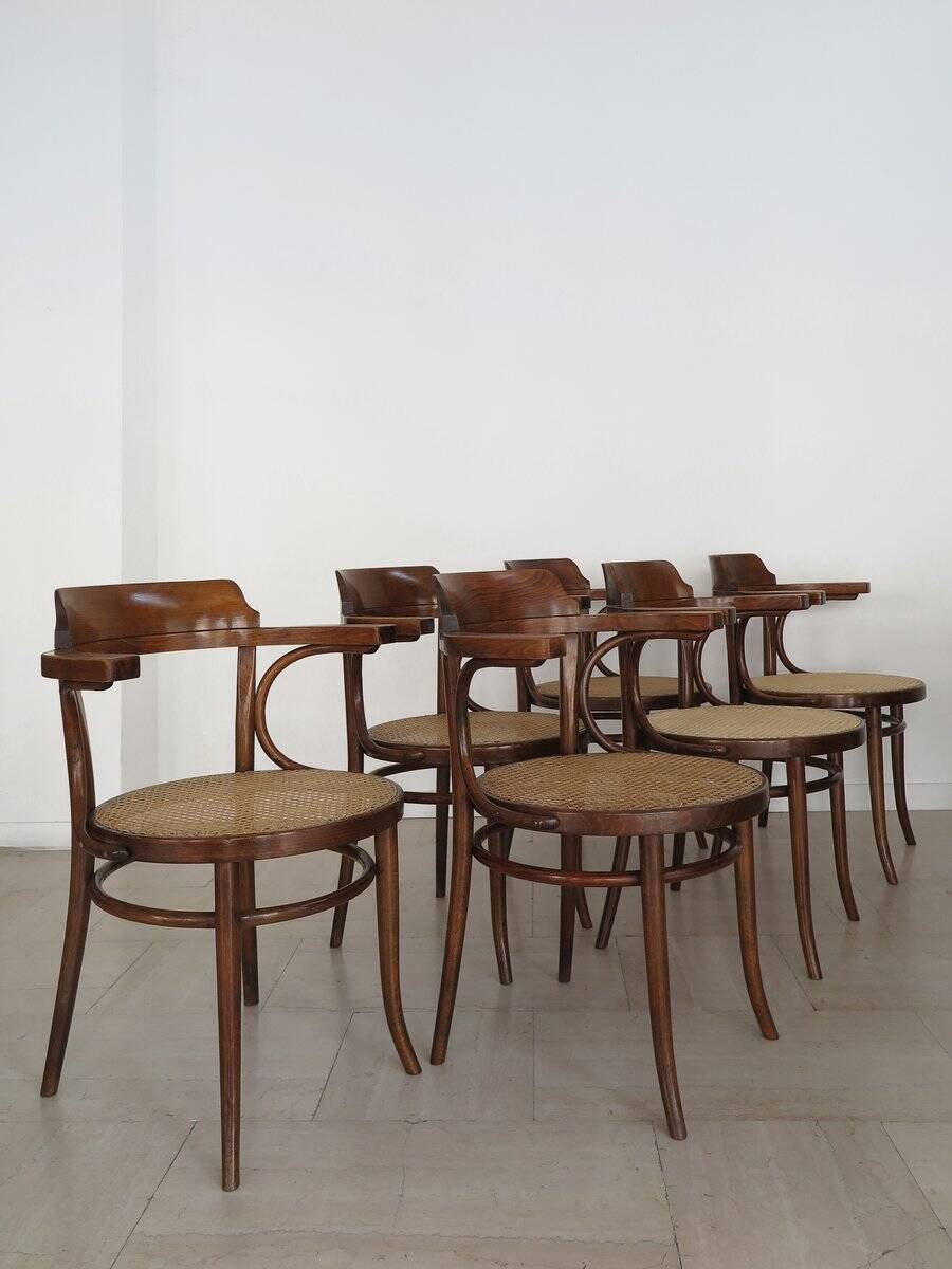 Vintage Chairs by Michael Thonet for Thonet, 1930s, Set of 6
