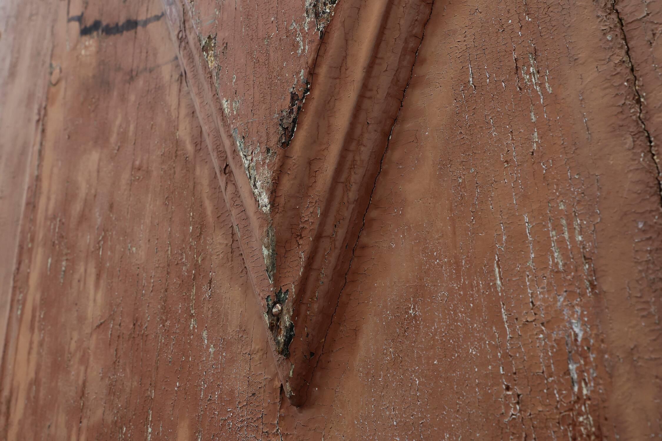 Large 17th century Monastery doors in terracotta lacquered oak, Portugal