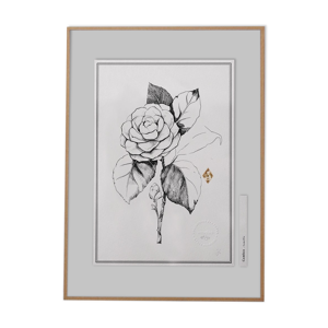 Tableau illustration camélia