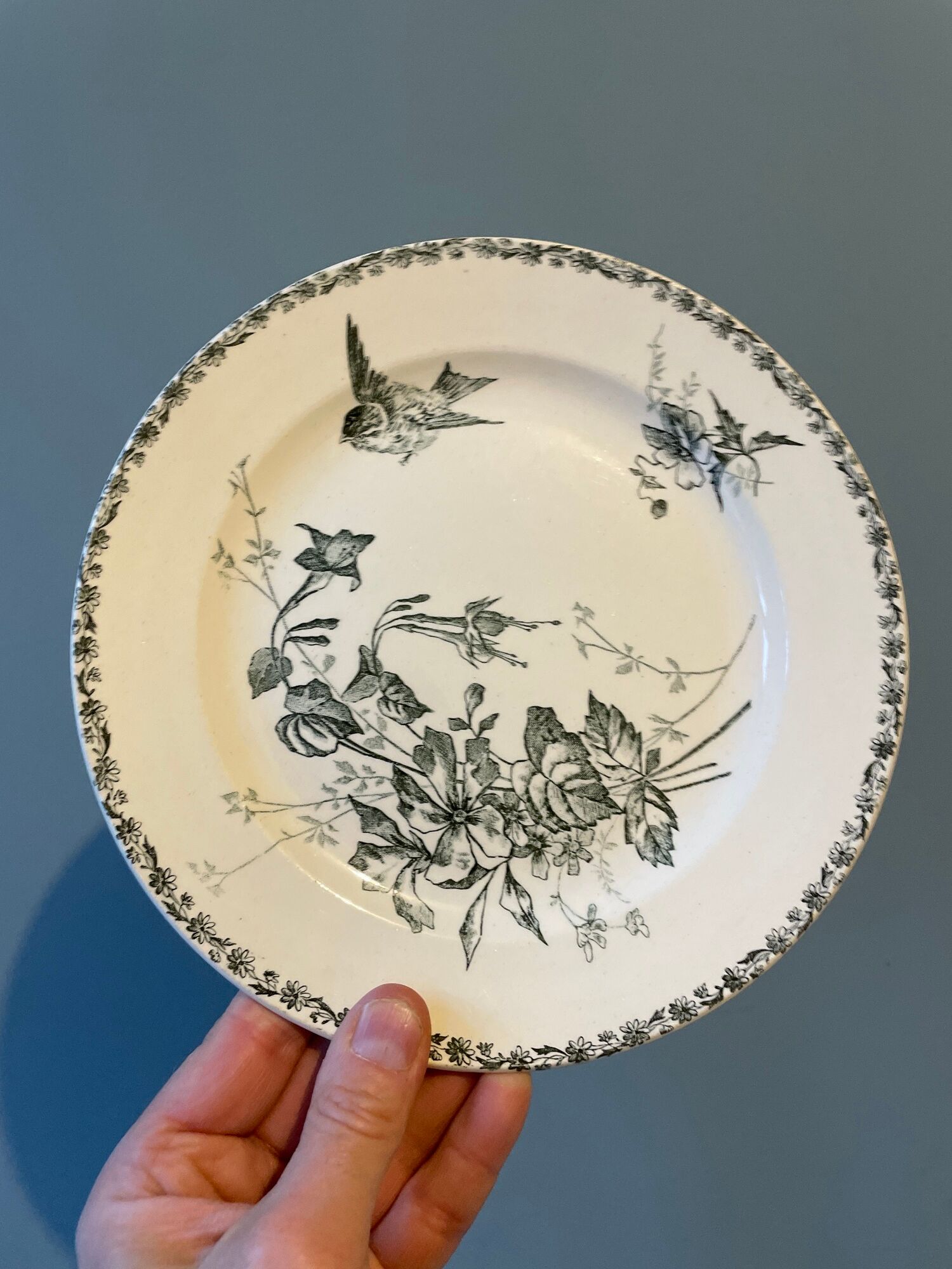 Set of 12 Terre de Fer dessert plates Grand Dépôt E.Bourgeois