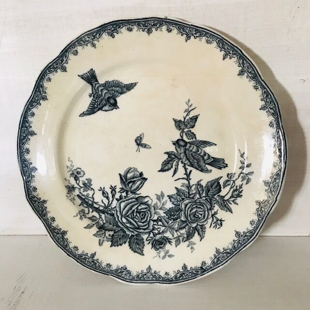 10 old plates