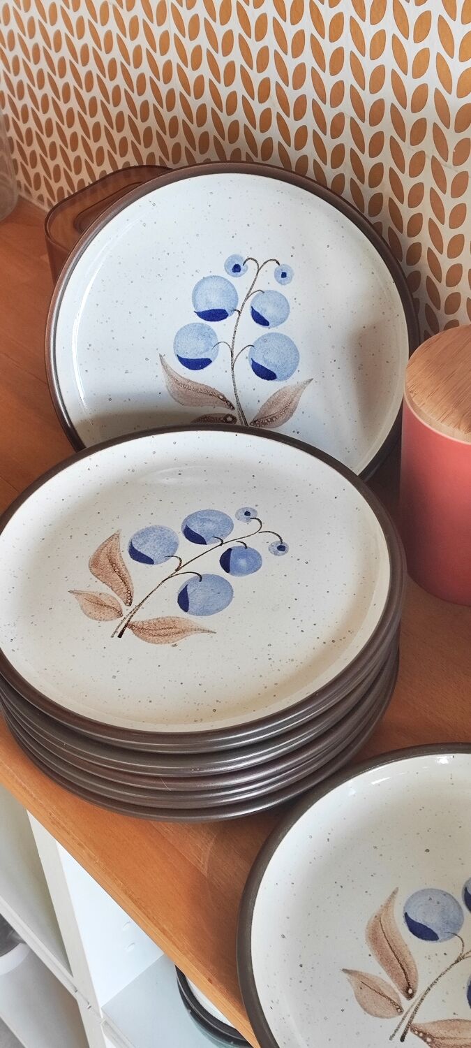 Vintage stoneware plates illustration of currants hand-painted