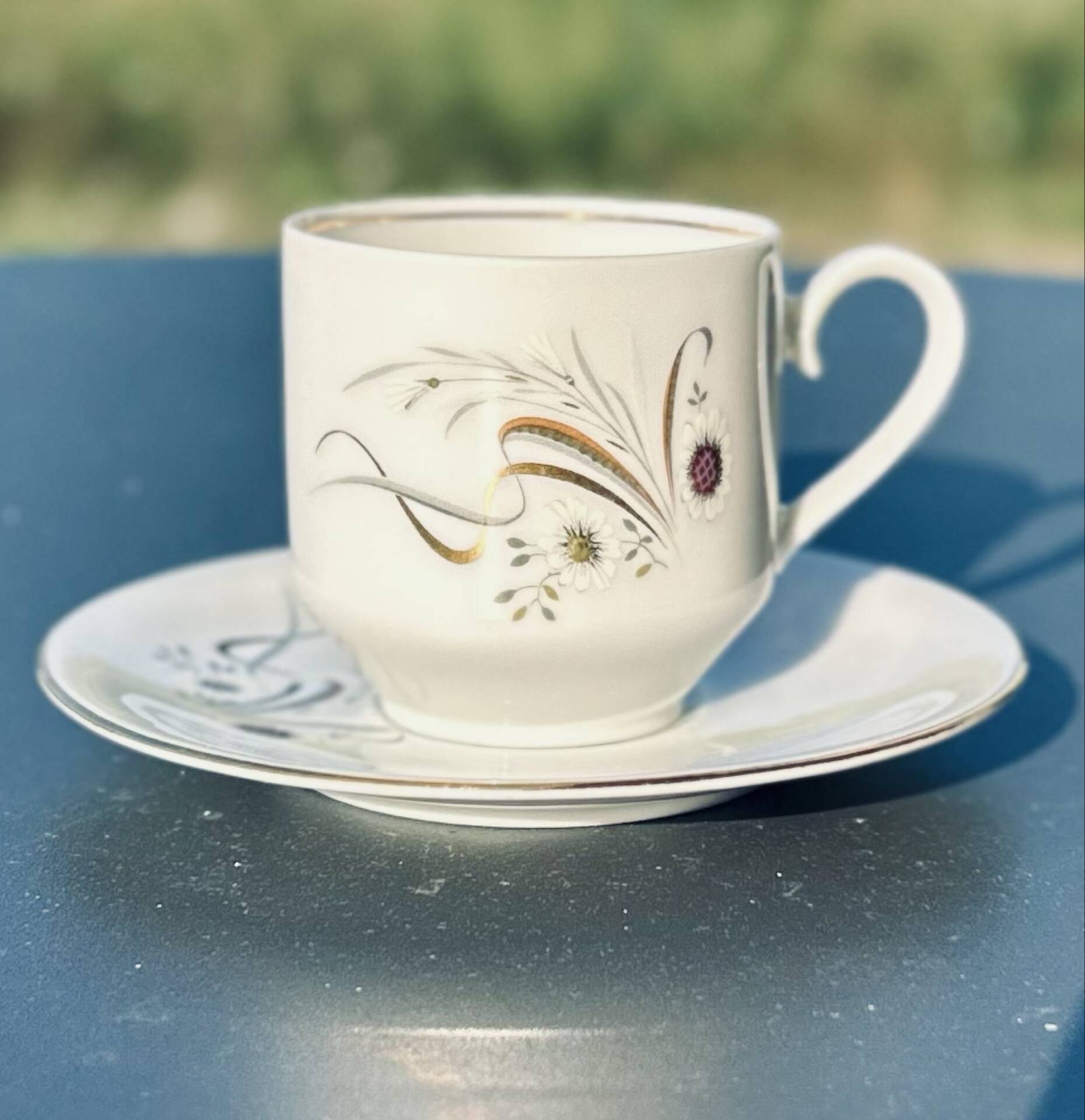 Bavaria porcelain coffee service – Eliane from Vercors – 20 pieces
