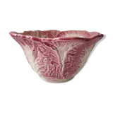 Salad bowl cabbage slurry