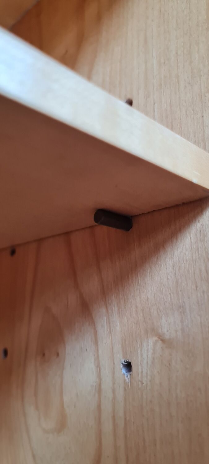 Scandinavian wall bookcase 1950