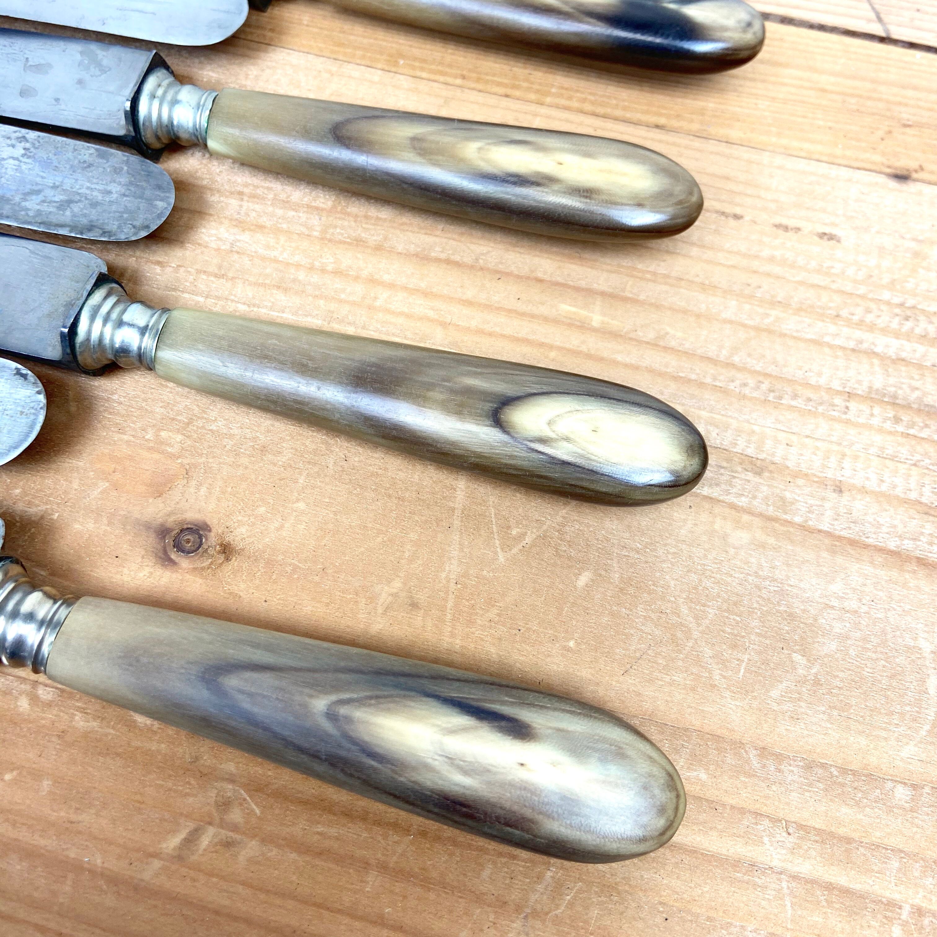 Service Of 12 Table Knives - Blonde Horn Handle