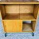 Mid-Century Vintage Storage Cabinet on Metal Legs
