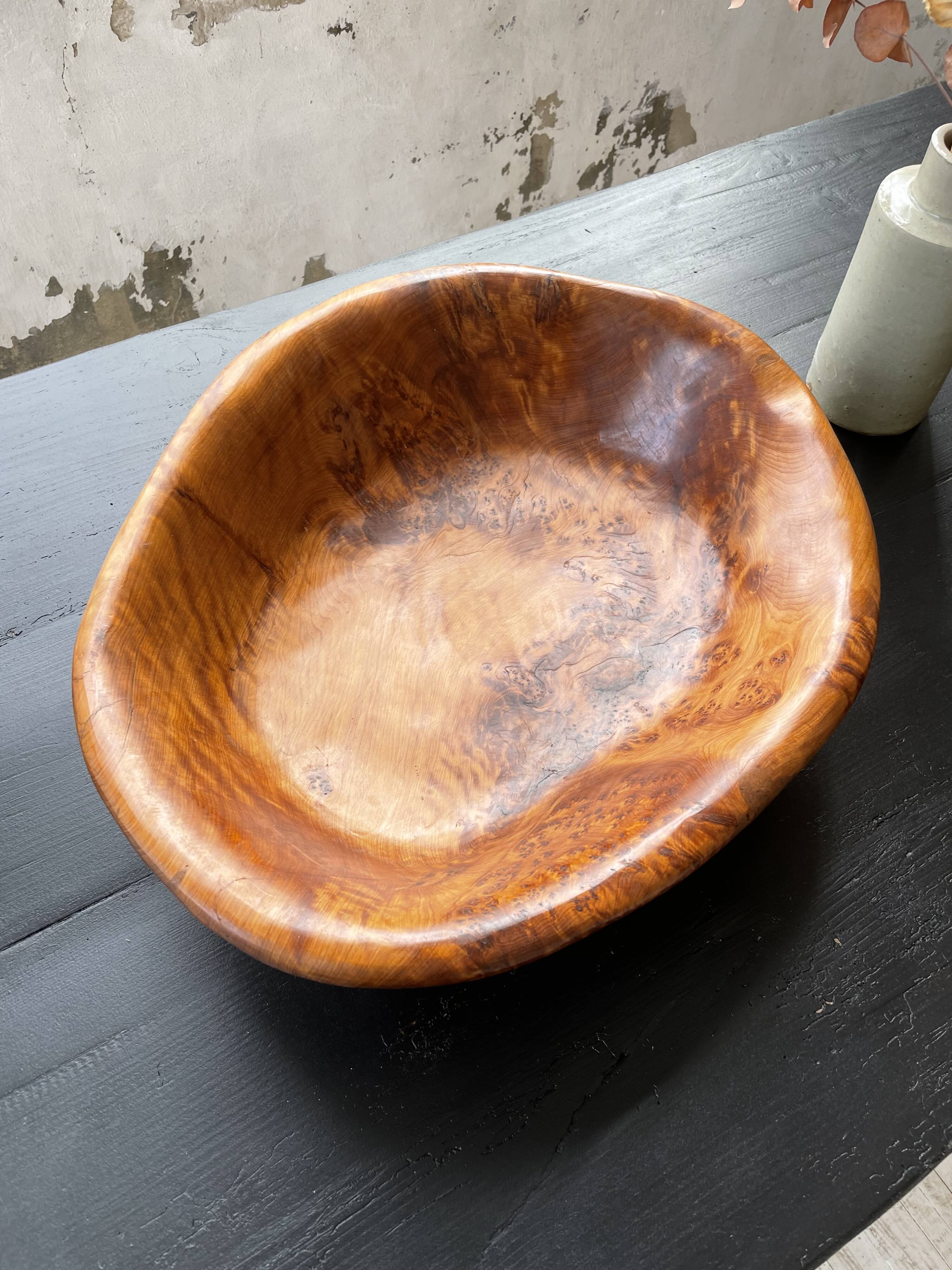 XL thuja root wooden dish