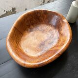 XL thuja root wooden dish