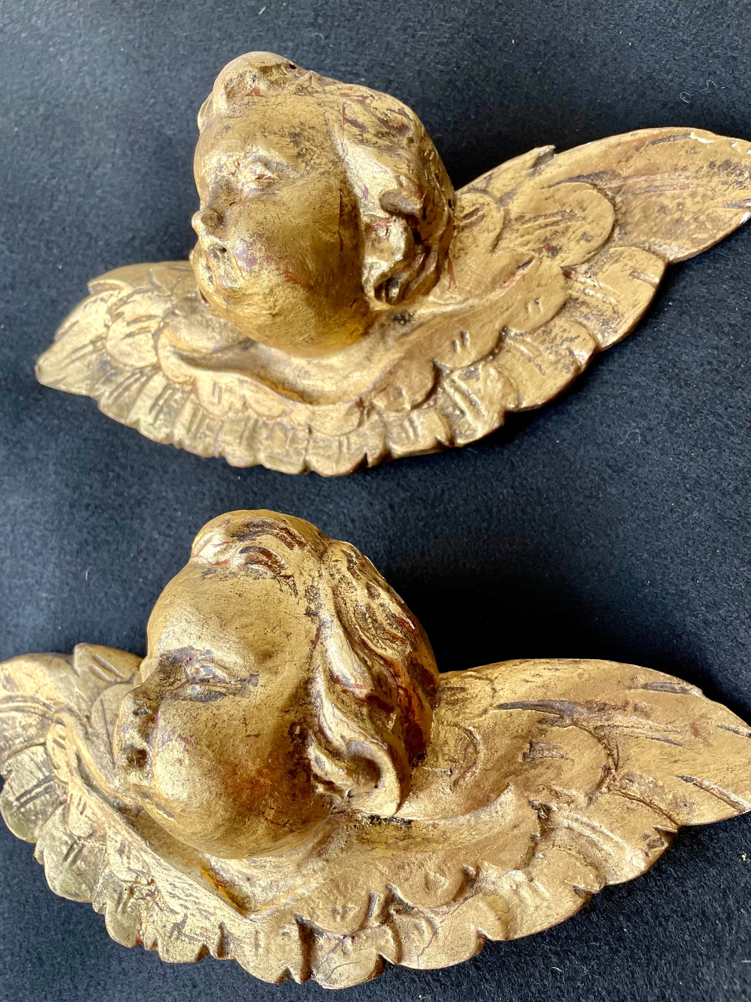 Pair of angels in gilded wood