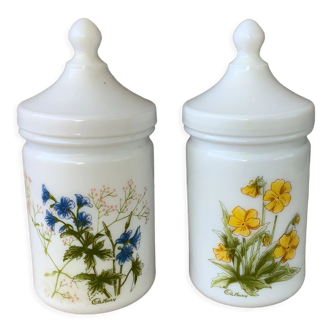 Apothecary pots in opaline - botanical decoration