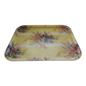 Vintage fiberglass tray